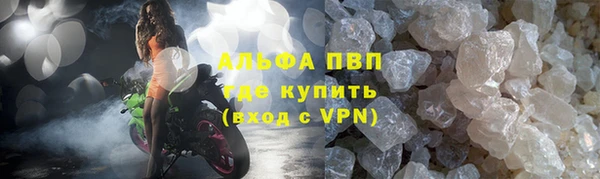 шишки Майский