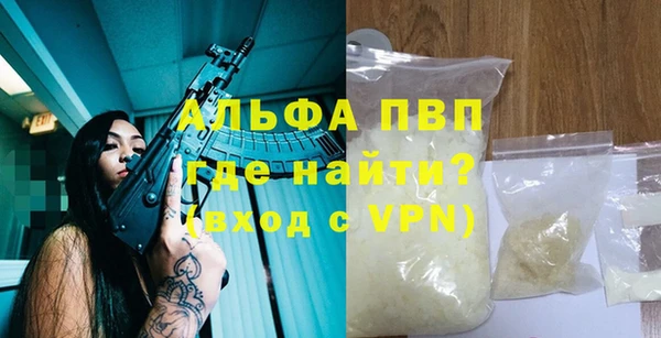 СК Гусев