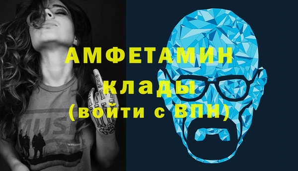 шишки Майский