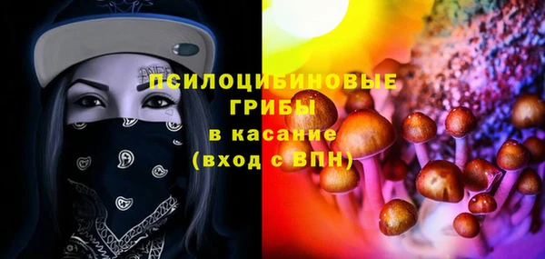 шишки Майский