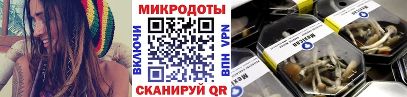 Галлюциногенные грибы Psilocybe Дудинка